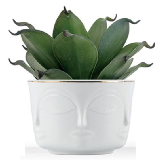 Set of 4 Stunning Face Pot Indoor Planter - Picture 3 of 4